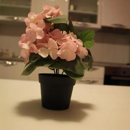 Holiday Home Zadar Σπίτι διακοπών *